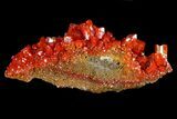 Vibrant Red Vanadinite Crystals on Matrix - Arizona #69211-1